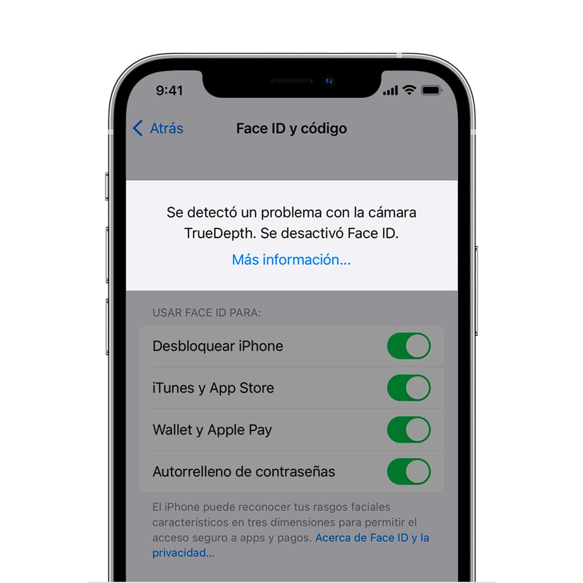 Recuperacion de Face ID iPhone 11