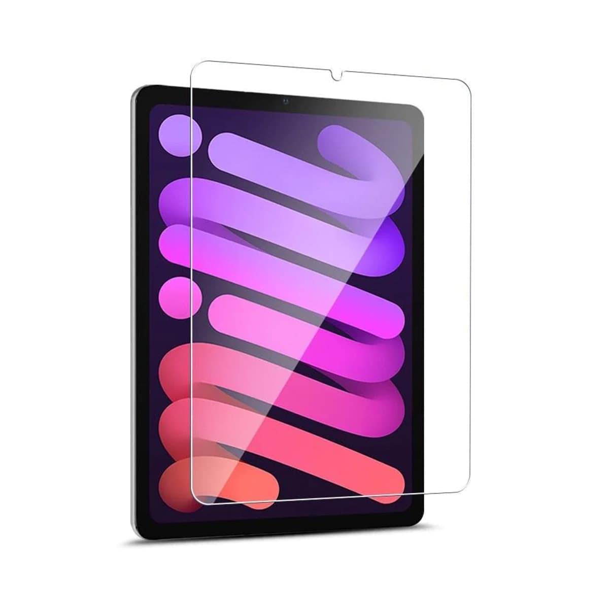 Templado iPad Mini 6/Mini7