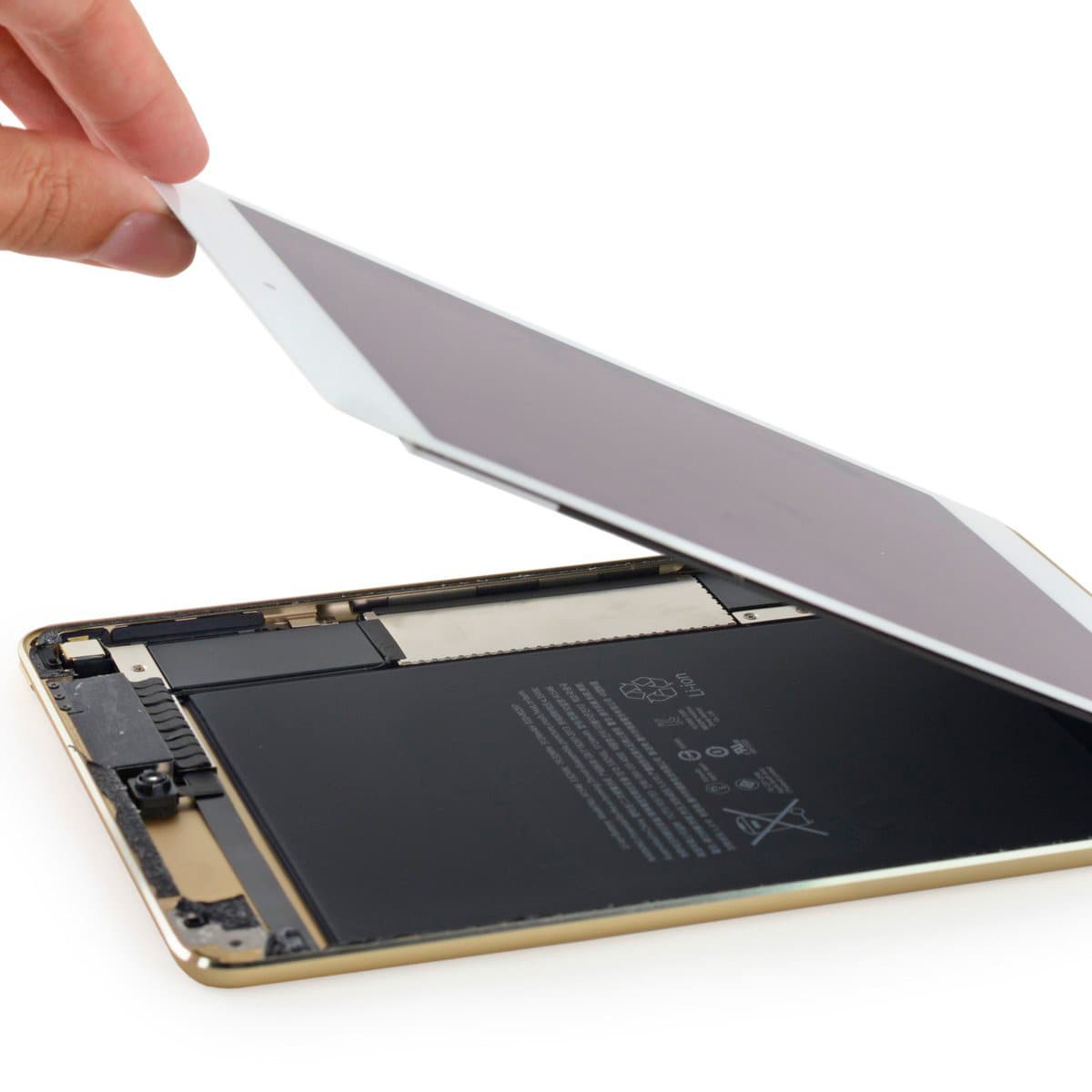 Modulo iPad Mini 4