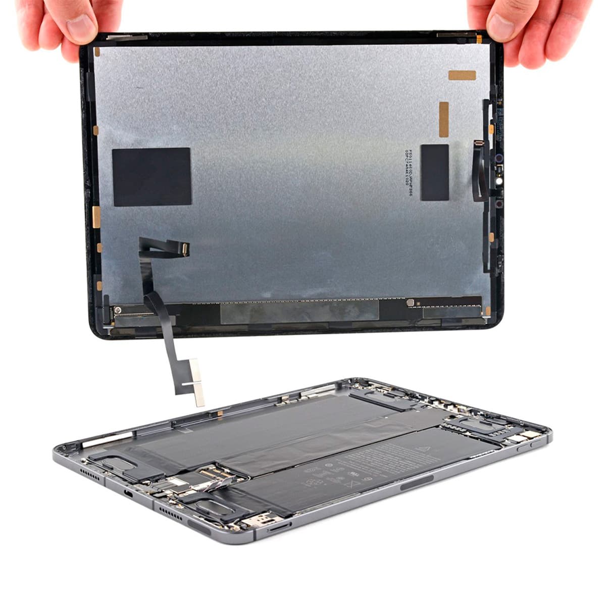 Modulo iPad Pro 11" (1ra generacion) iPad Pro 11" (1ra generación)